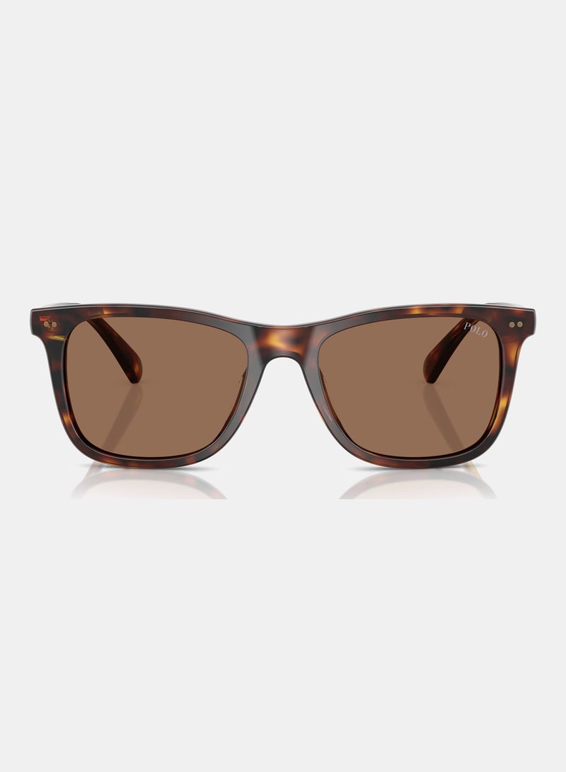 POLO RALPH LAUREN Full Rim Square Sunglasses 0PH4220U - Image 5